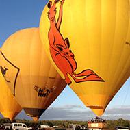 pdlux-list Thumbnail